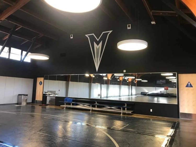 Murals Muralist in the Bay area SF Bay Murals 36