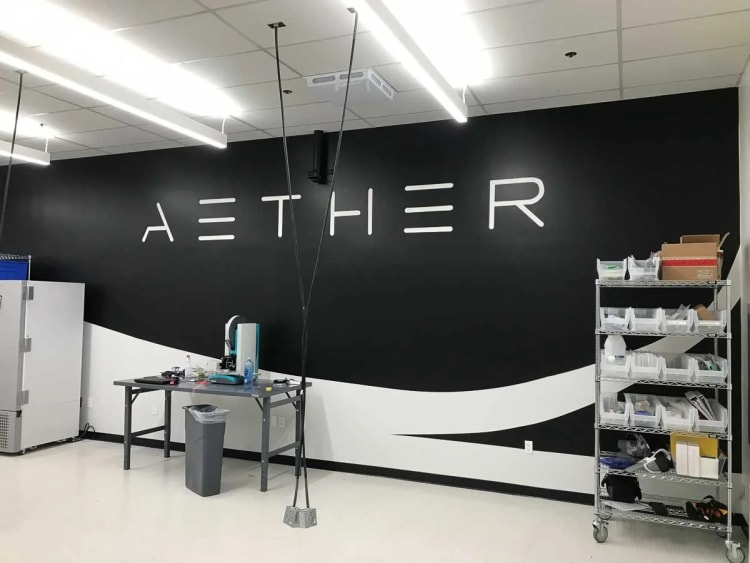 Murals Muralist in the Bay area SF Bay Murals 46