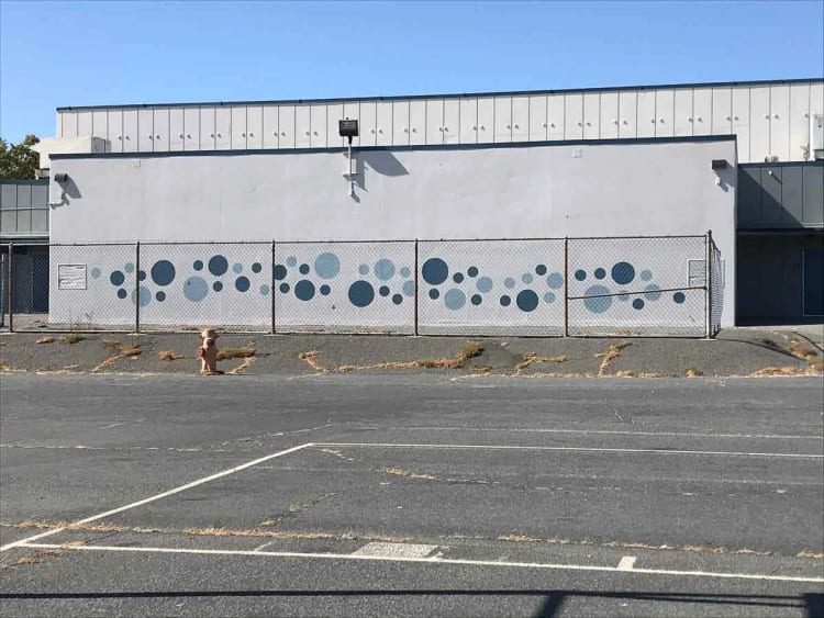 Murals Muralist in the Bay area SF Bay Murals 51