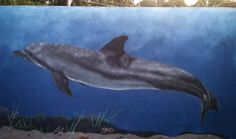 Hand-painted dolphin detail in a custom ocean mural
