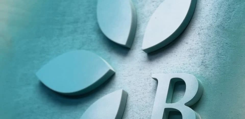 Recent photos of custom signage projects from SF Bay Signs