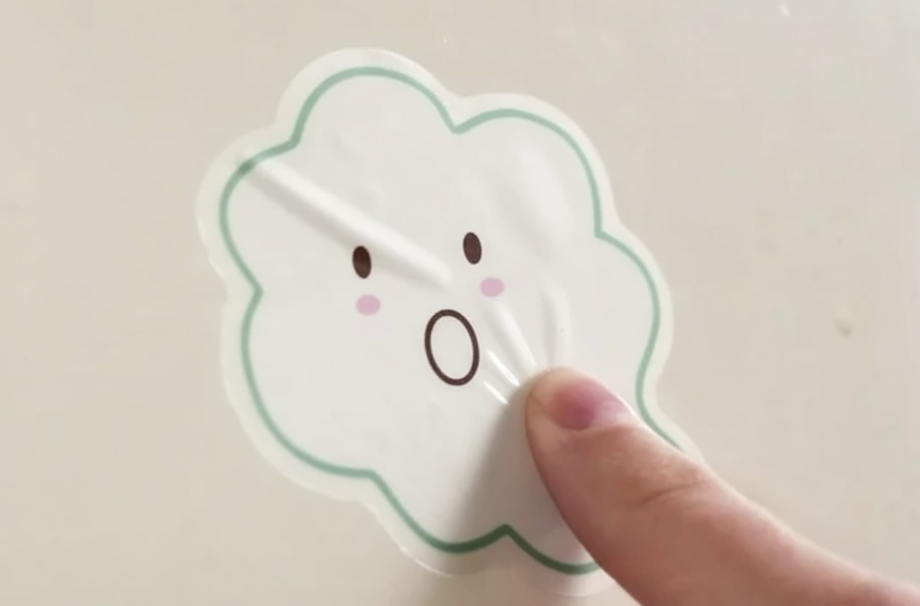 Professional vinyl decal application demonstration showing bubble-free installation technique.