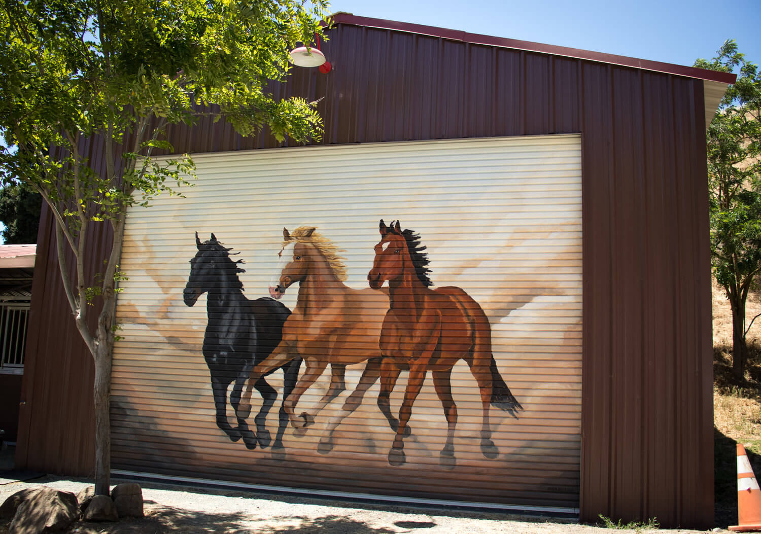 chris+horse+mural+web-4.jpg