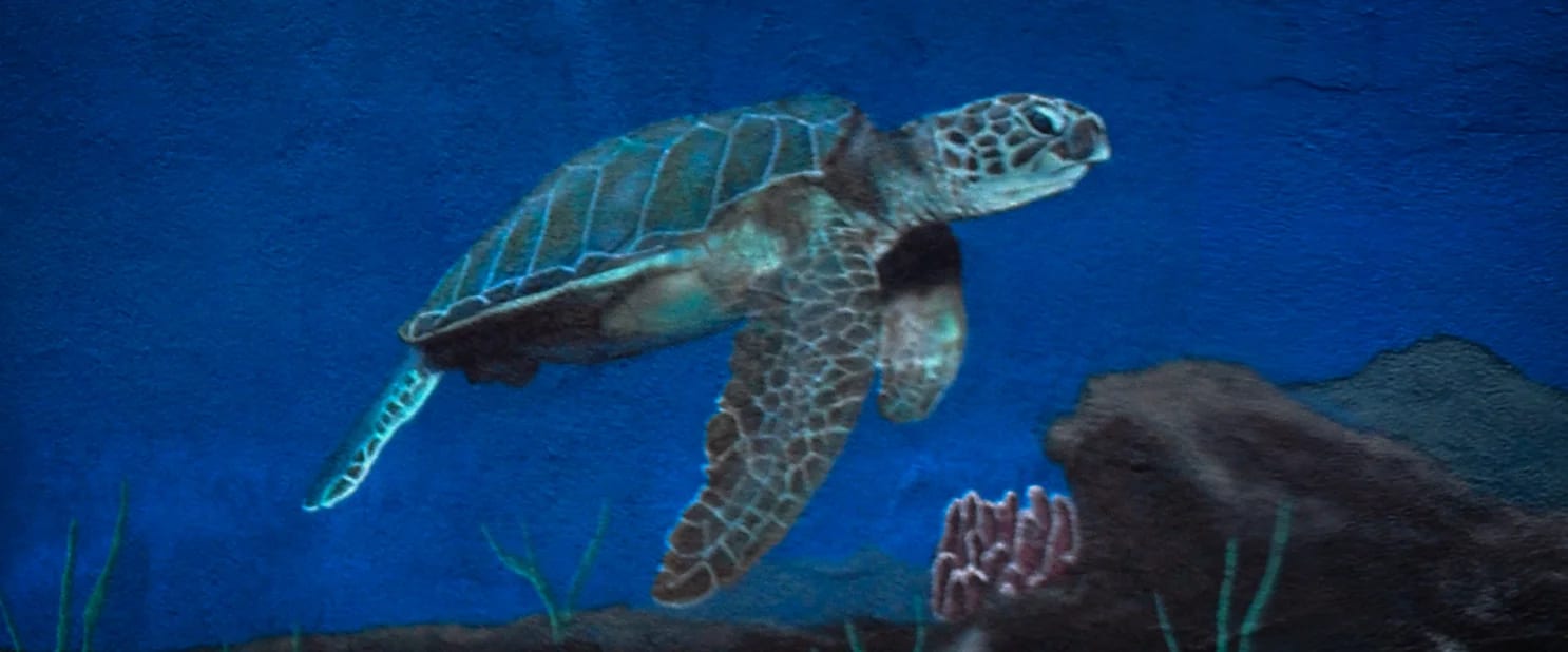 detail of murals in bay area.jpeg