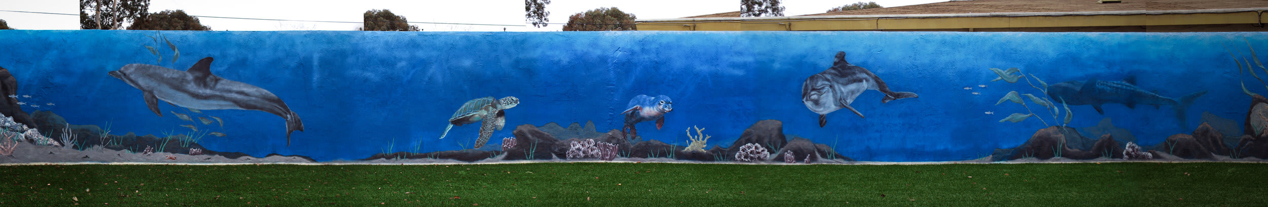 large mural ocean scene san francisco bay area.jpeg