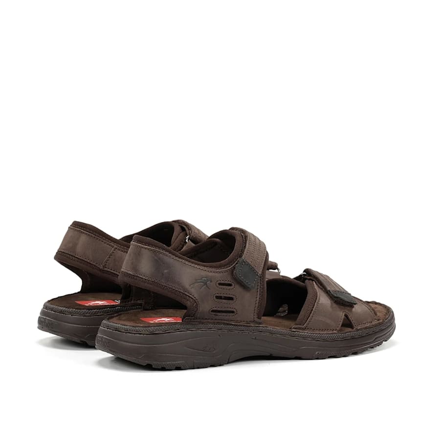 FLUCHOS F2197 MARRON PIEL