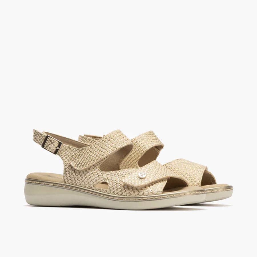 PITILLOS 10300 ORO PIEL