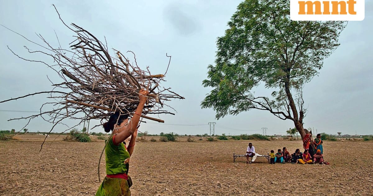 Monsoon Meltdown 2026: Agri Stocks Brace for Impact