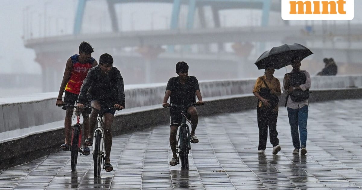 El Niño 2024: How the Indian Monsoon Shortfall Will Impact Stocks and Rural Economy