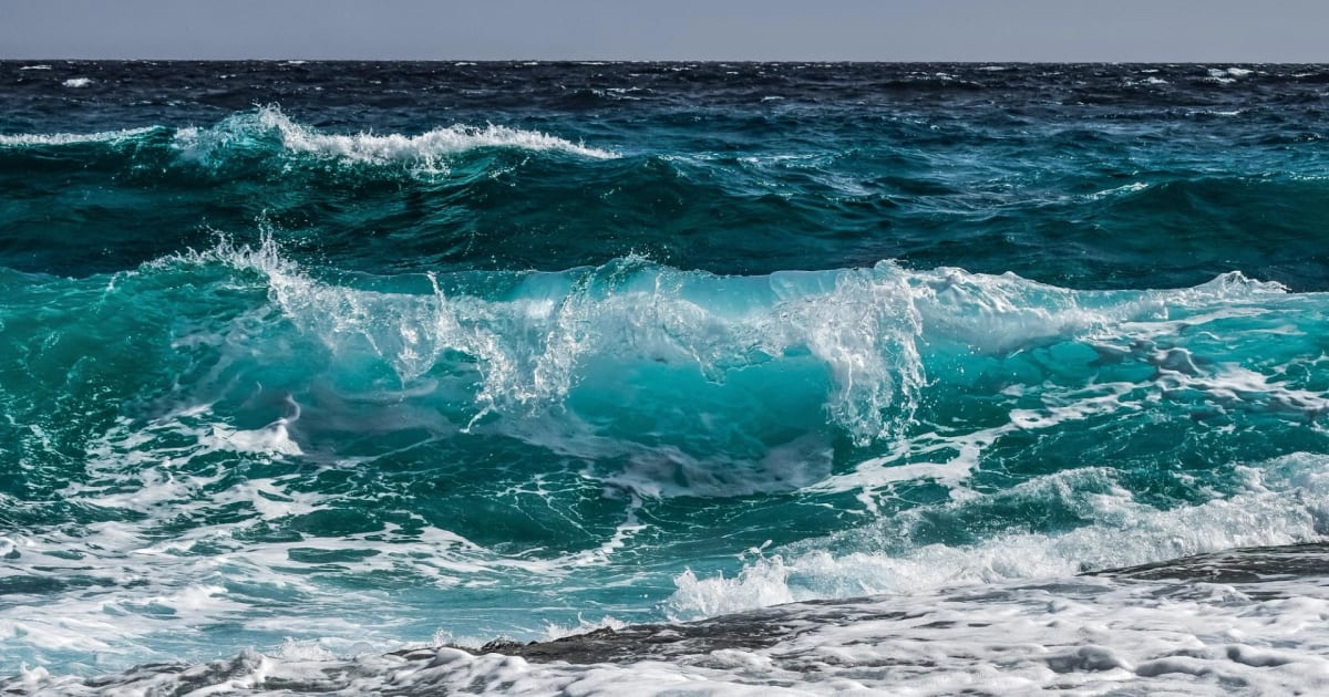 XRP Volatility Bets Surge: What It Means for Indian Crypto & Tech Stocks