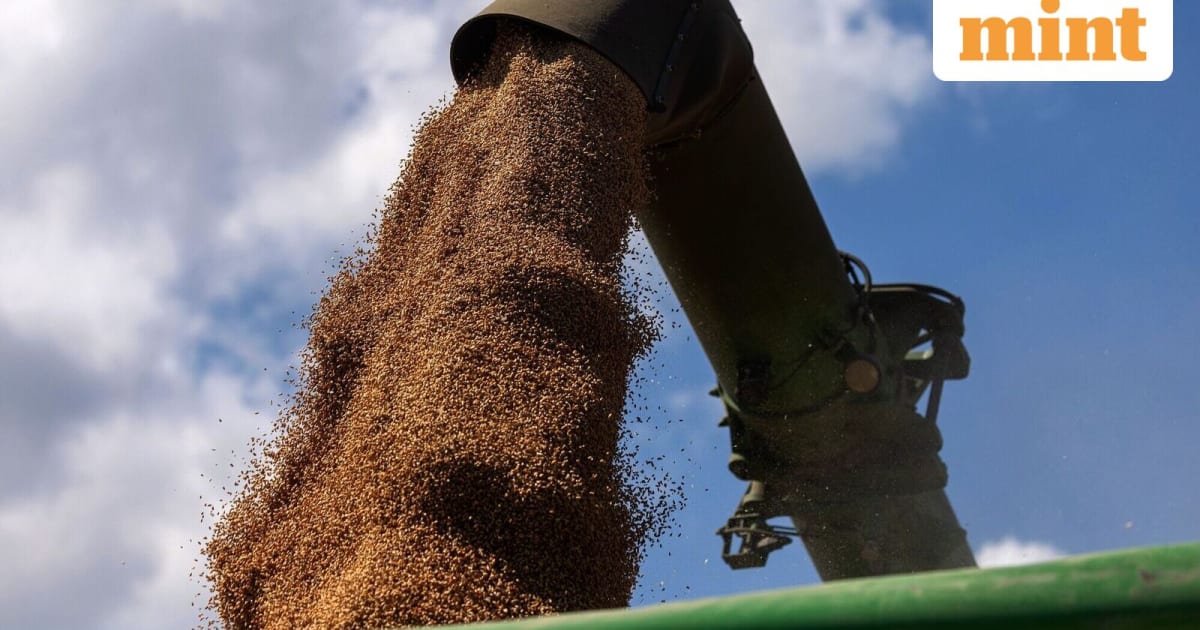 India Wheat Export Boom: Your Guide to Agro-Stock Surges