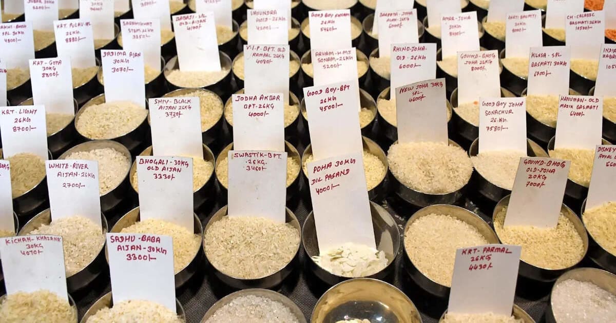 India's Rice Export Boom: Diversification Fuels Rupee Strength & Agri-Stock Rally