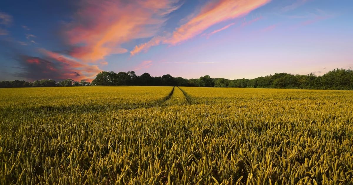 India's Agri Blockchain Boom: $2B Tokenized Loans & Stock Impact