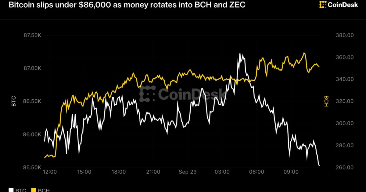 Bitcoin Slumps: Altcoin Rotation Signals Shifting Investor Risk Appetite in India