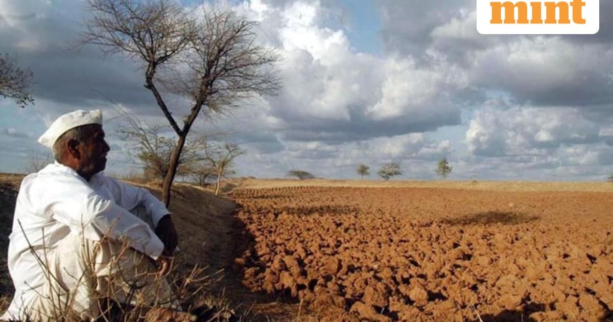 Monsoon Meltdown: India's Foodgrain Target Cut & Deficient Rains Threaten Rural Stocks
