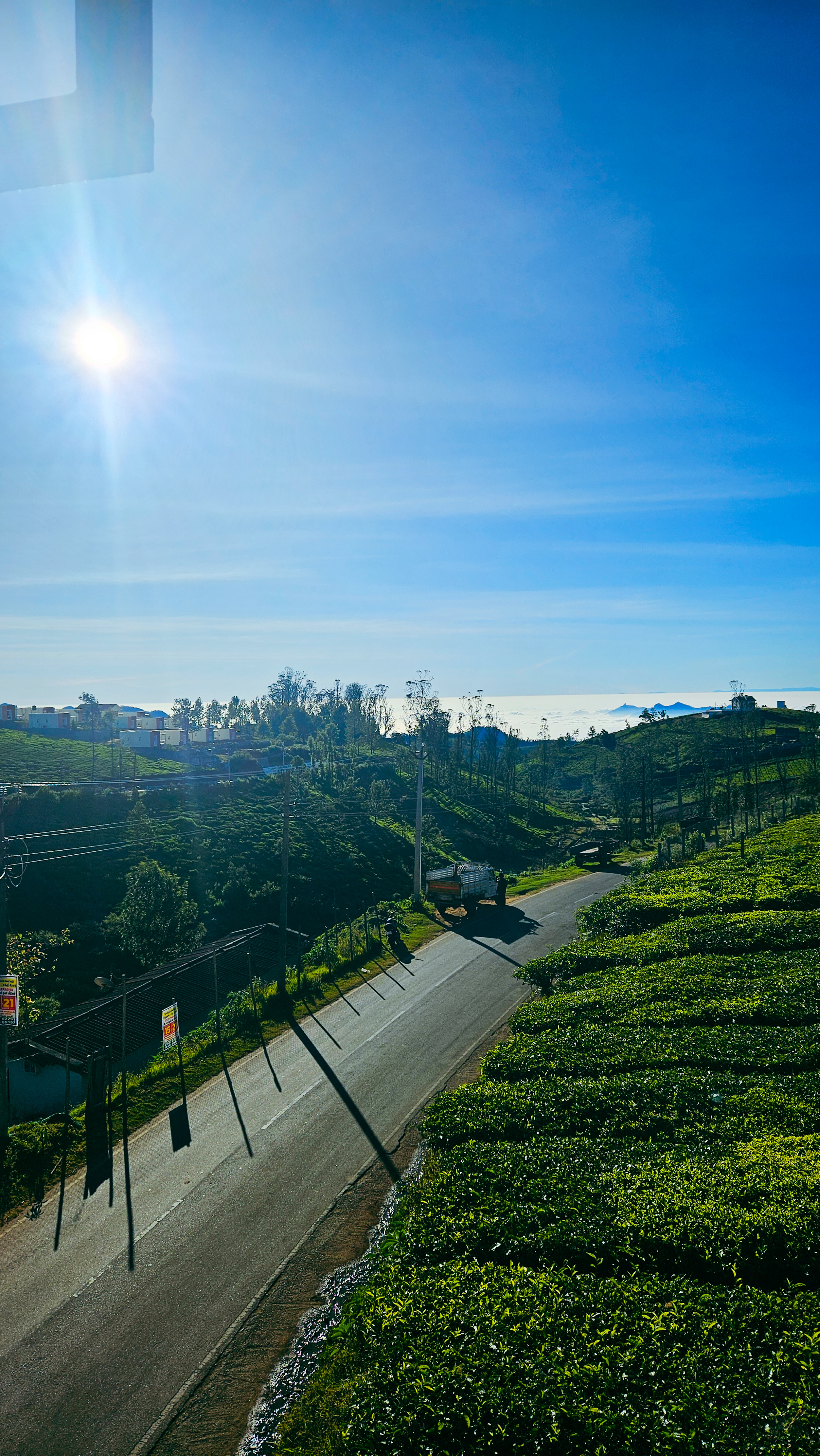 Ooty