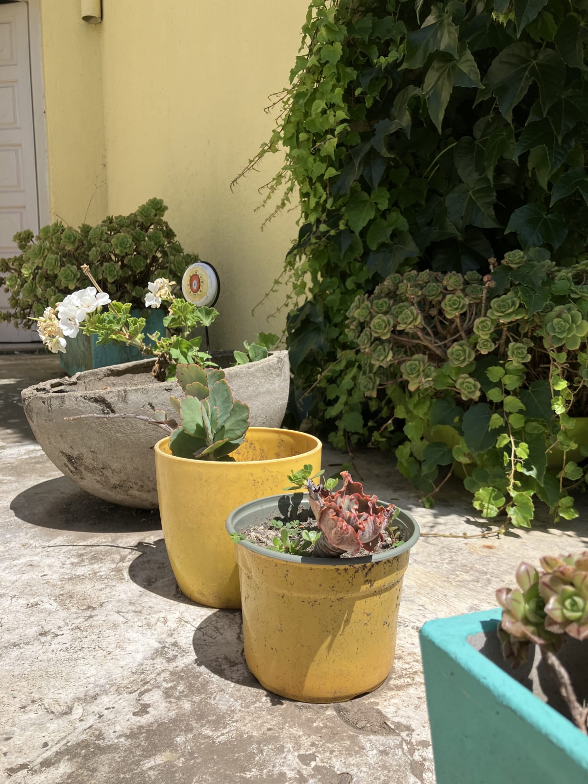 Casa Mendiola - foto 17