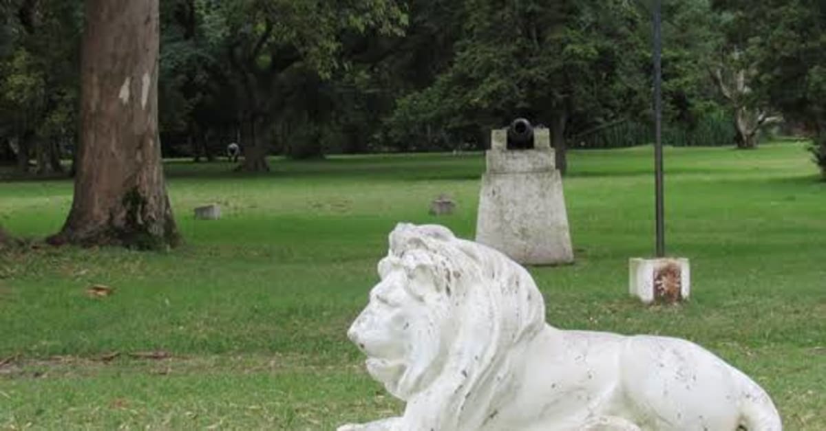 Leones del Parque Libres del Sur, Chascomús