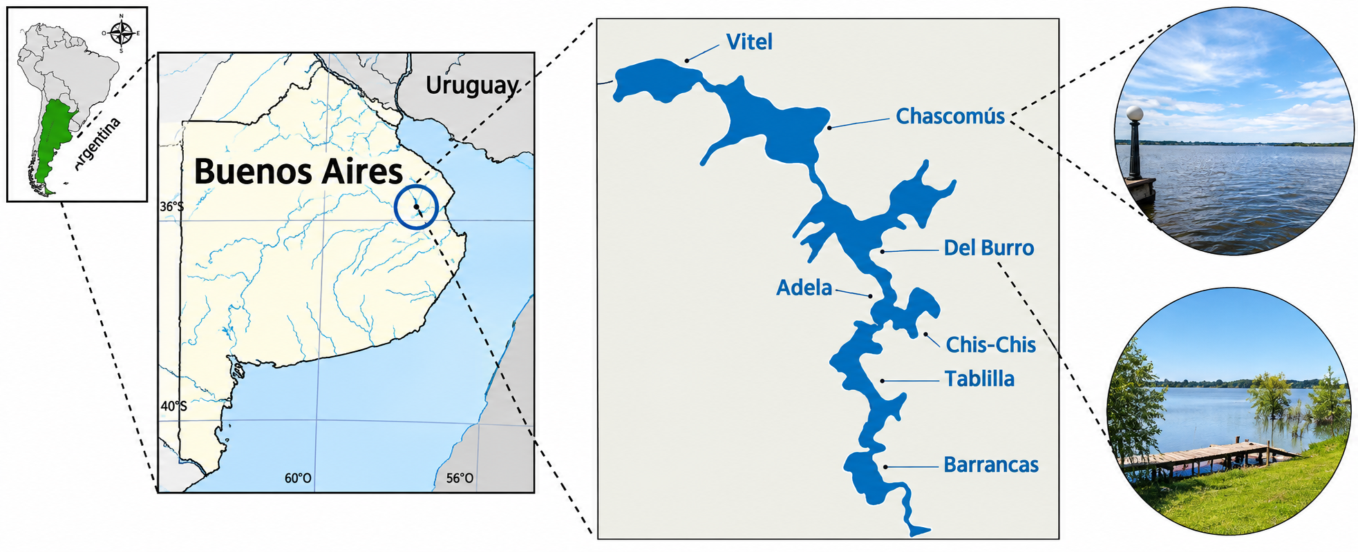 Las Encadenadas, el conjunto de lagunas al que pertenece la Laguna de Chascomús