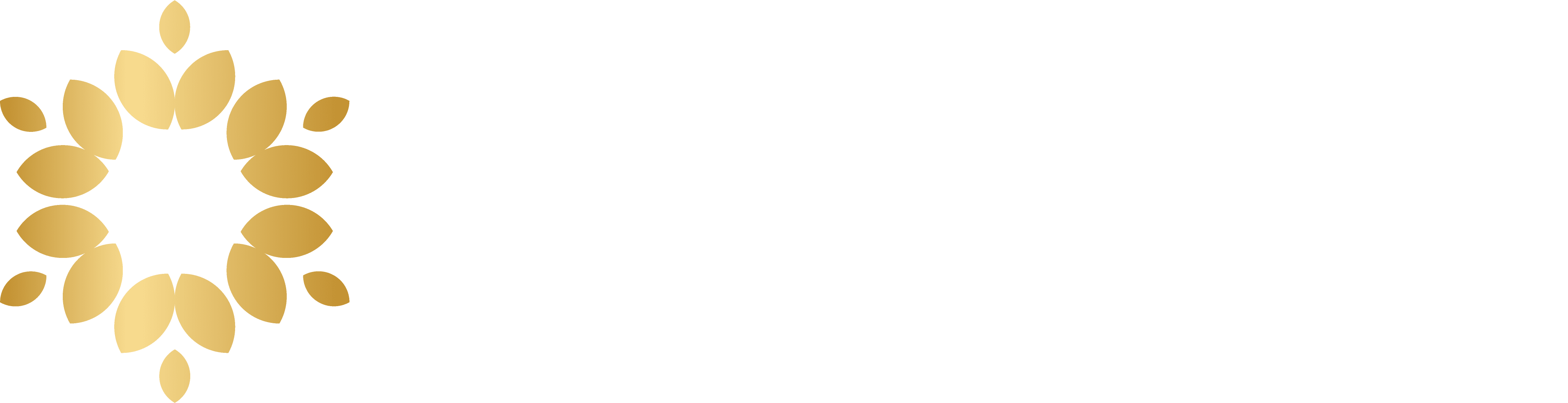 Persaudaraan Matahari