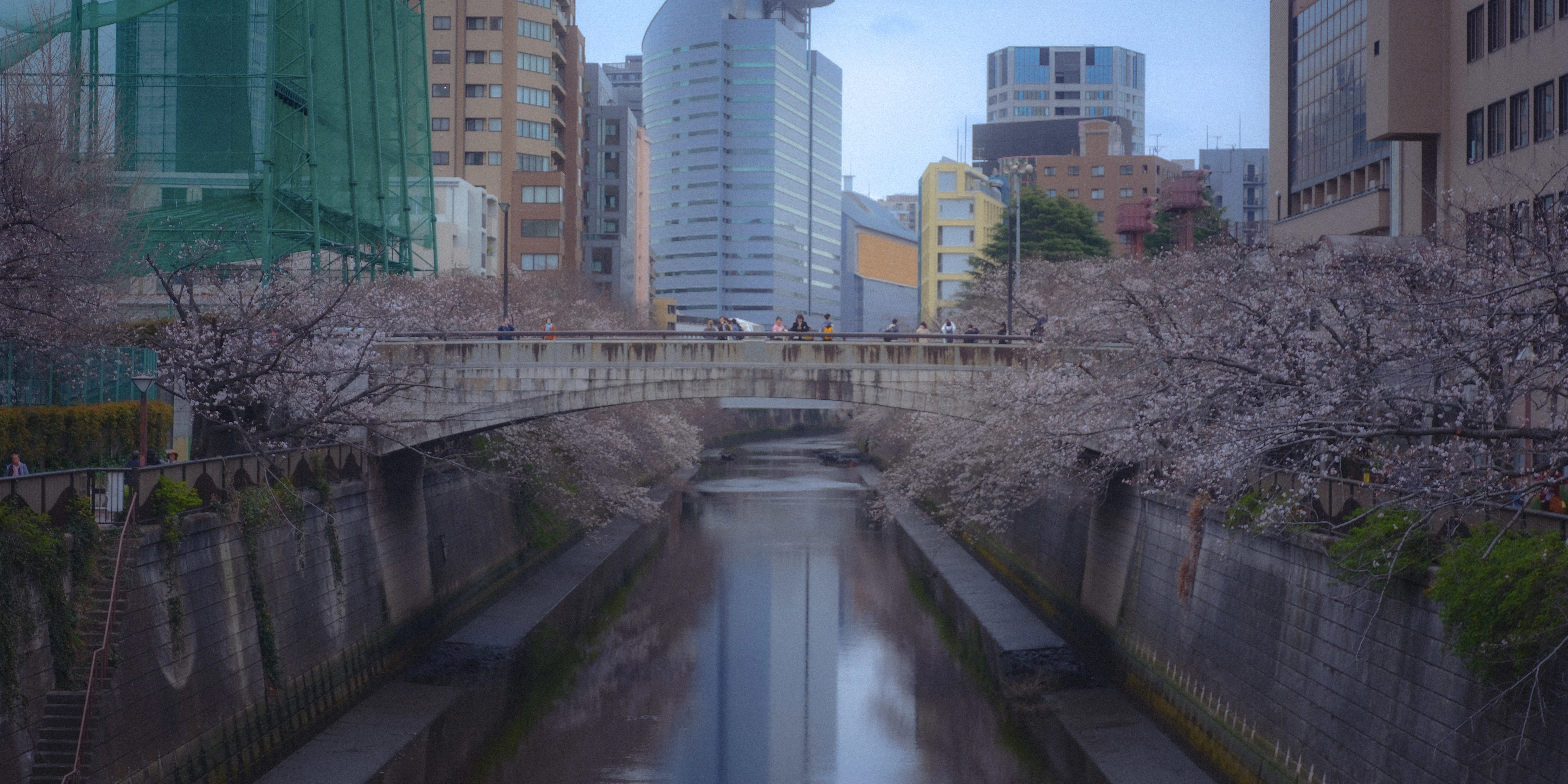 Desktop banner image 6