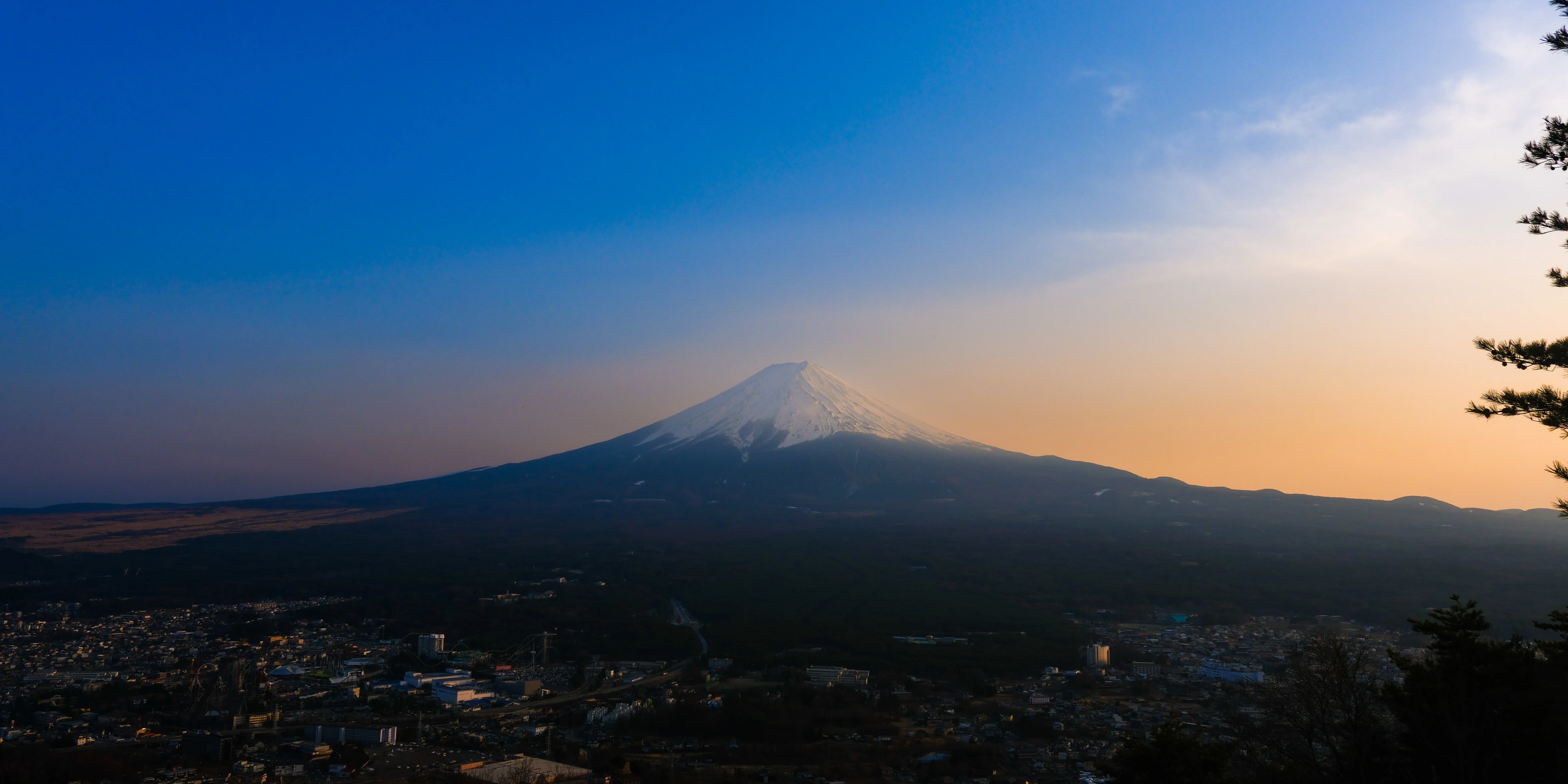 Desktop banner image 3