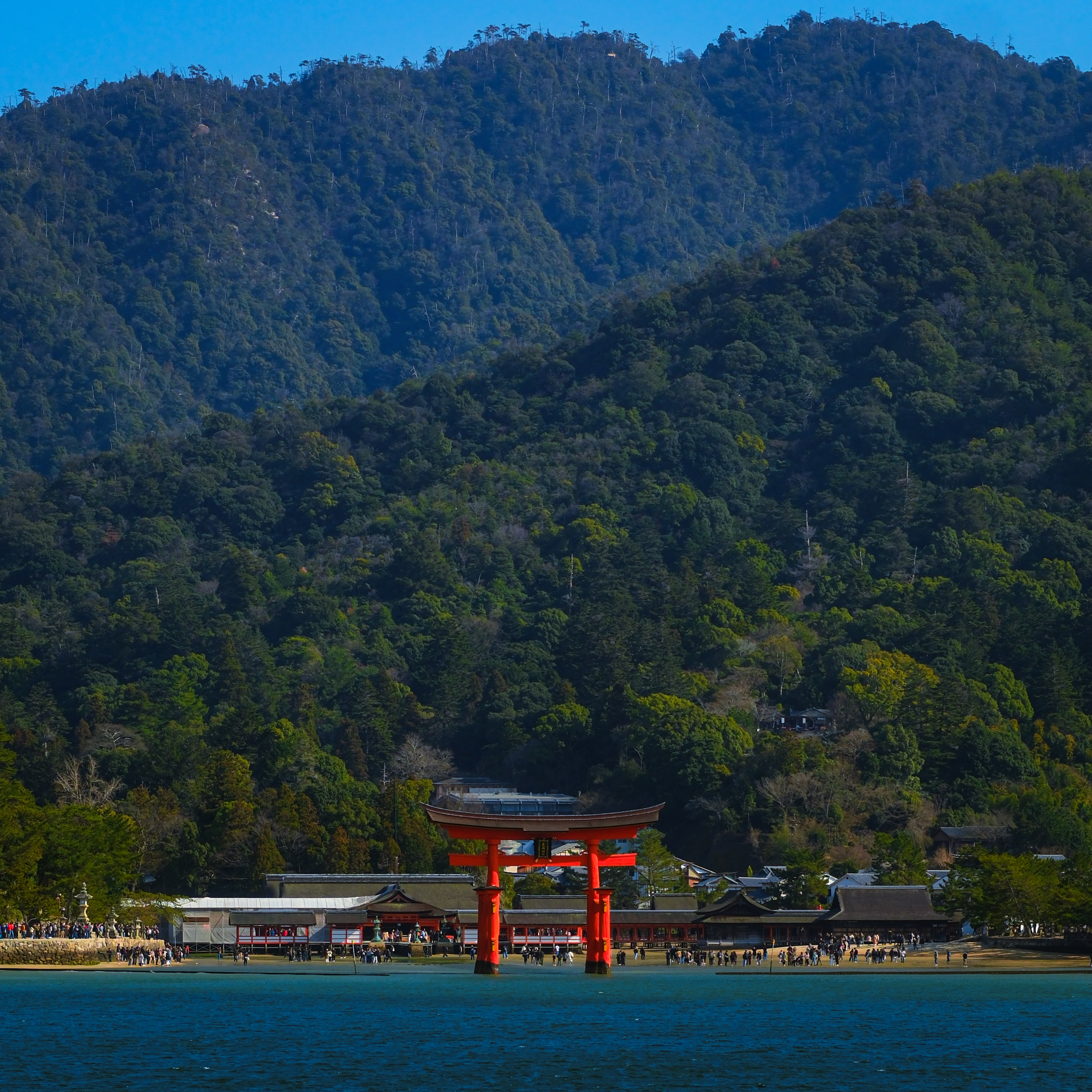 Itsukushima floating torii from the water
