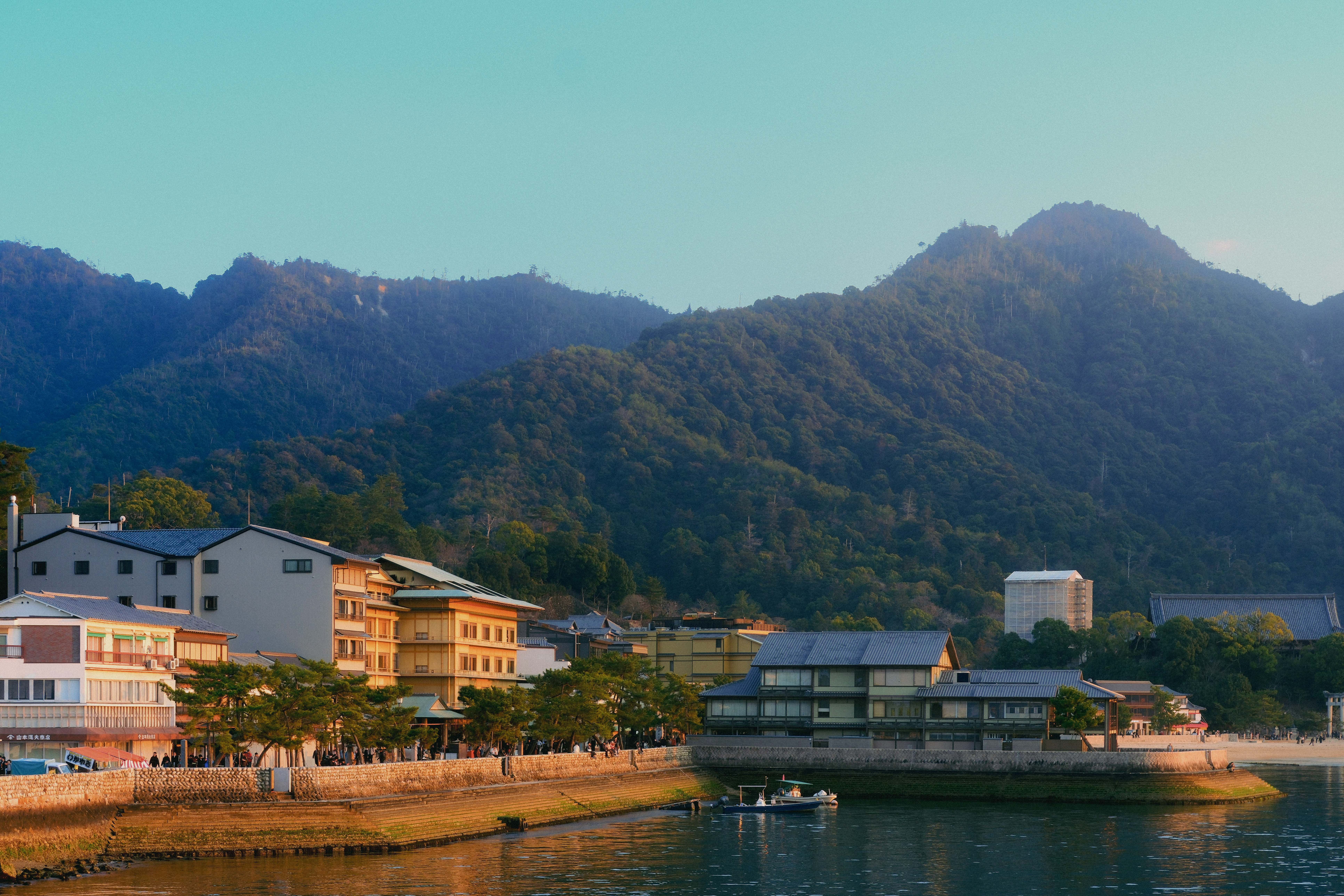 Cover Image of the Post