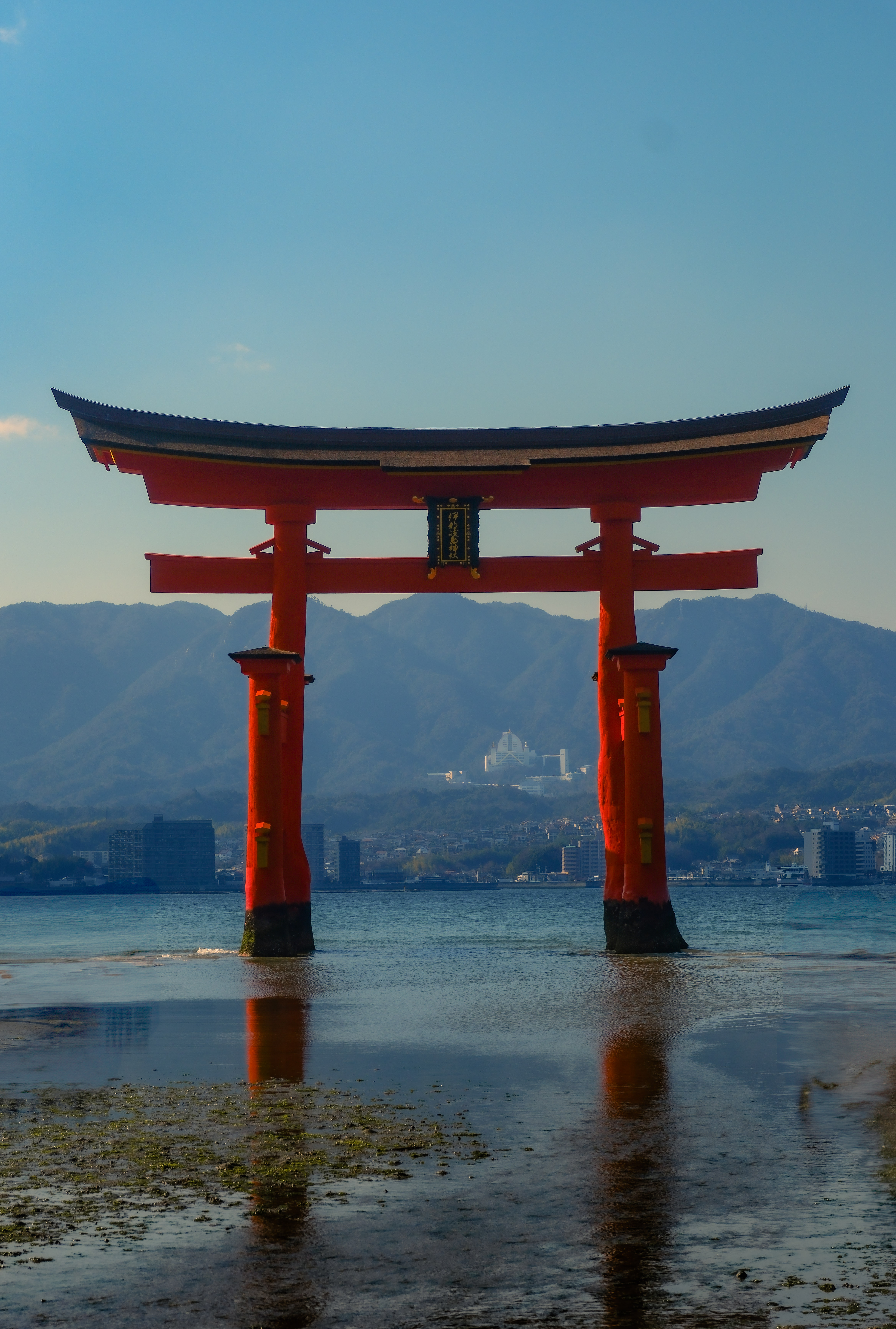 floating torii front view