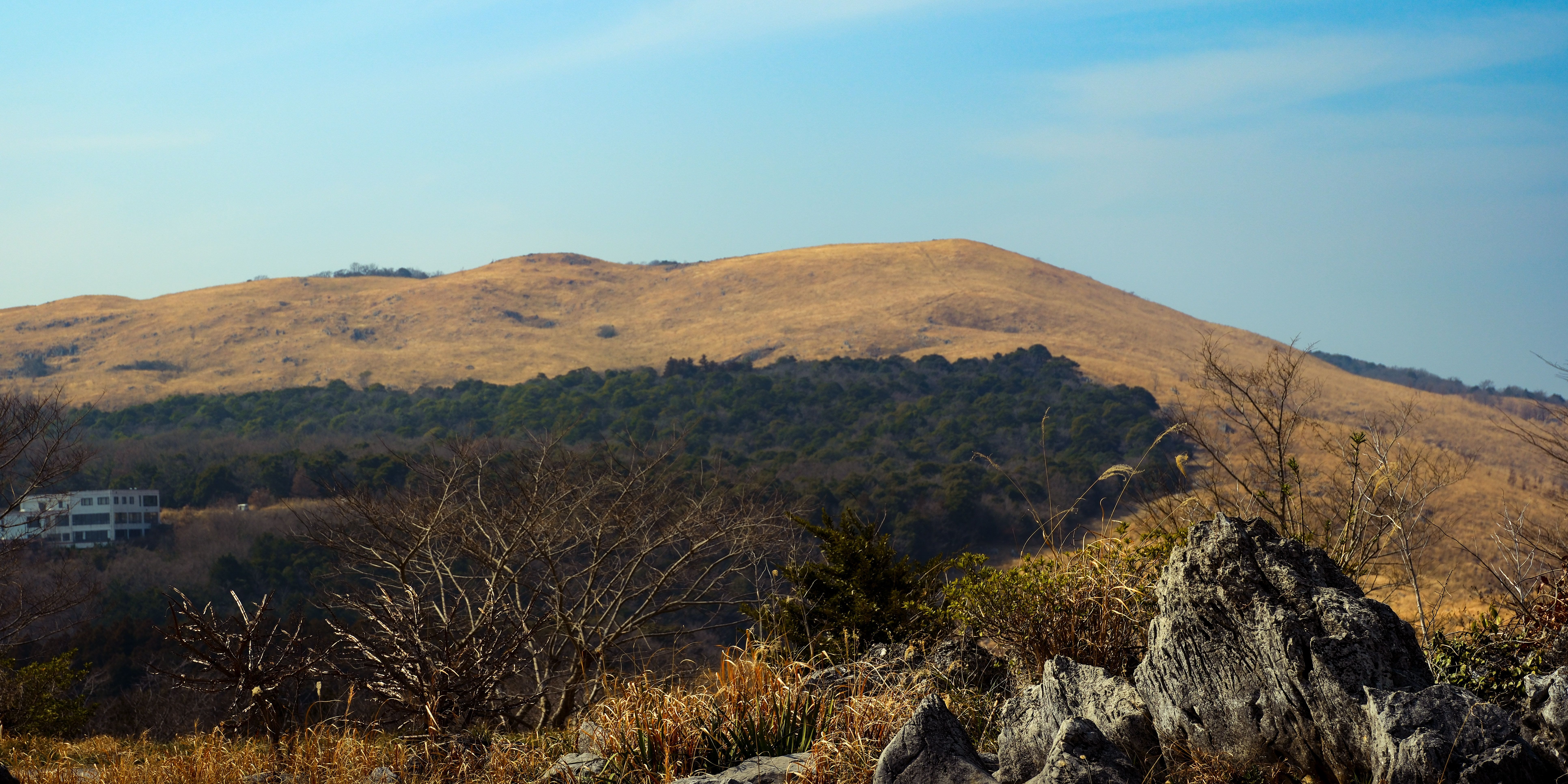 Looking out over Akiyoshidai Plateau