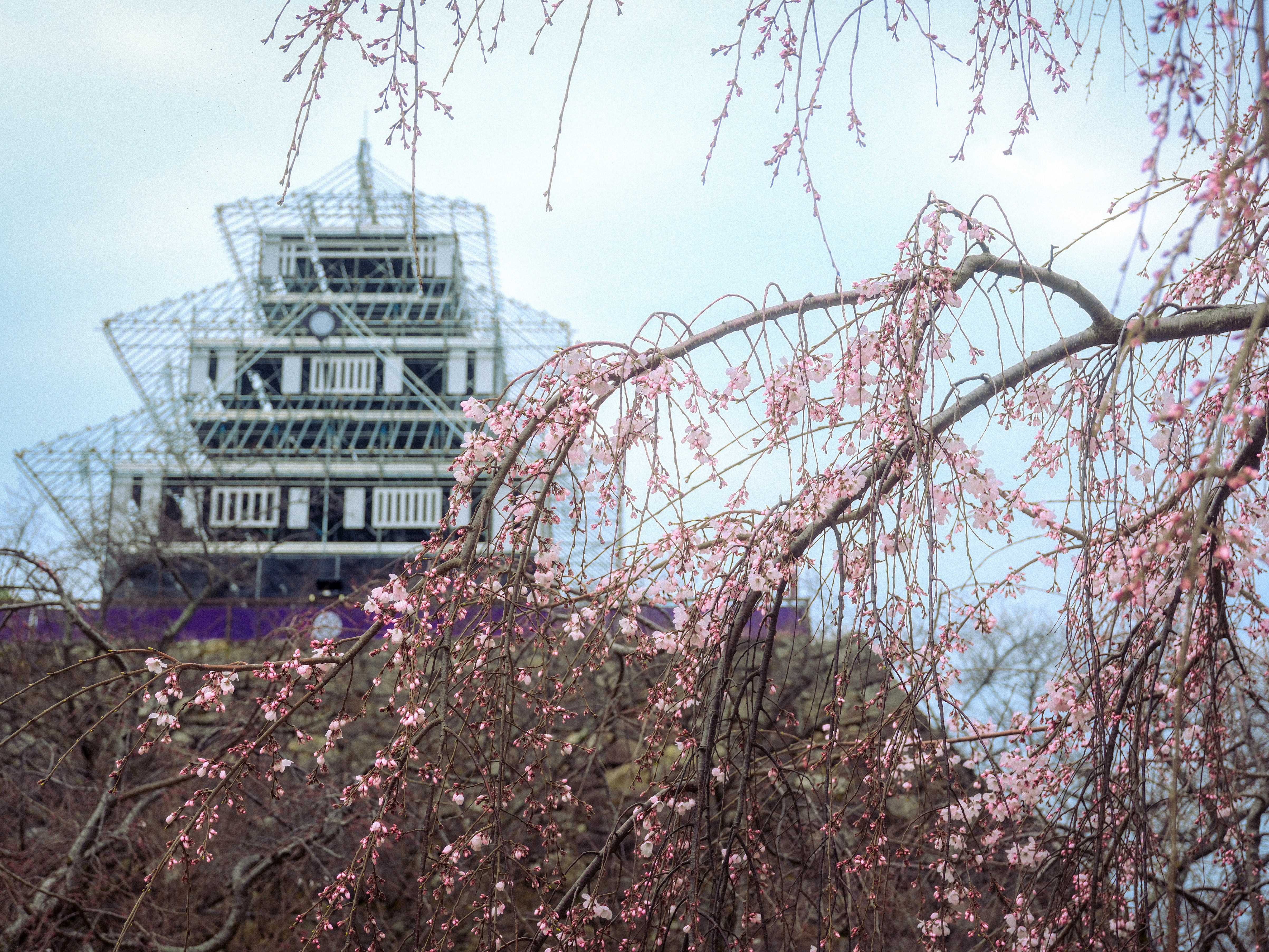 Cover Image of the Post