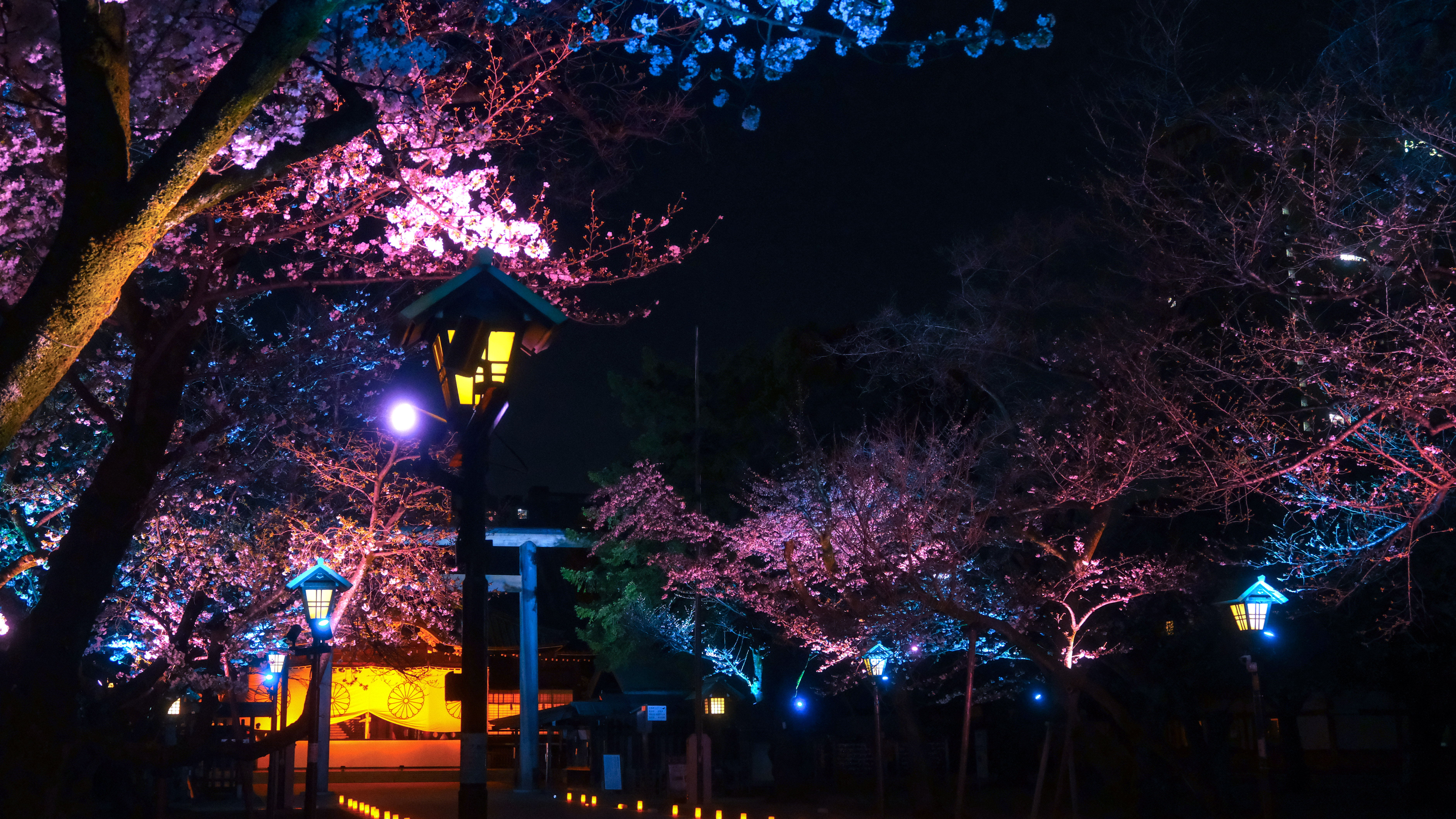 Cover Image of the Post