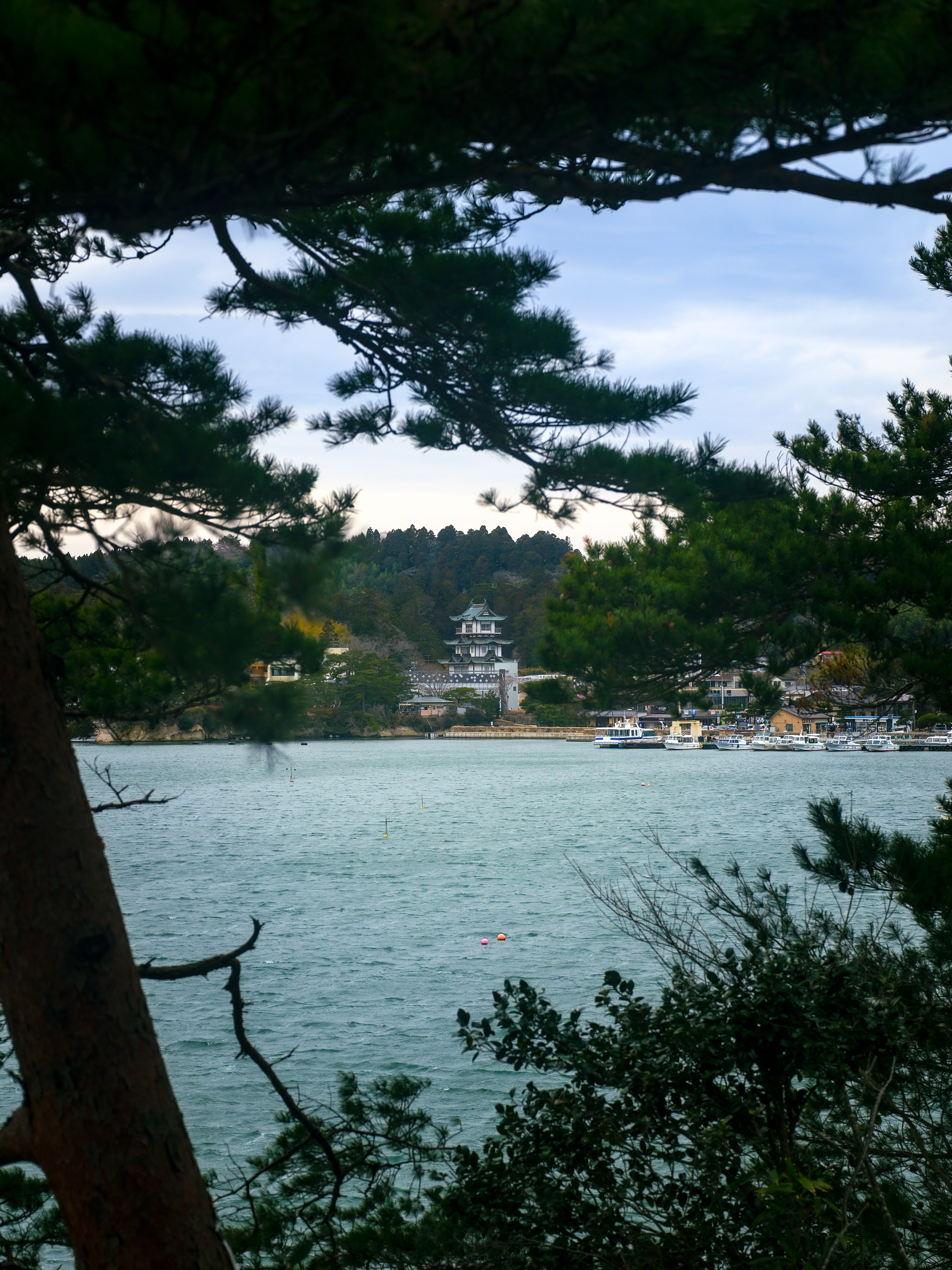 view of temple across the water