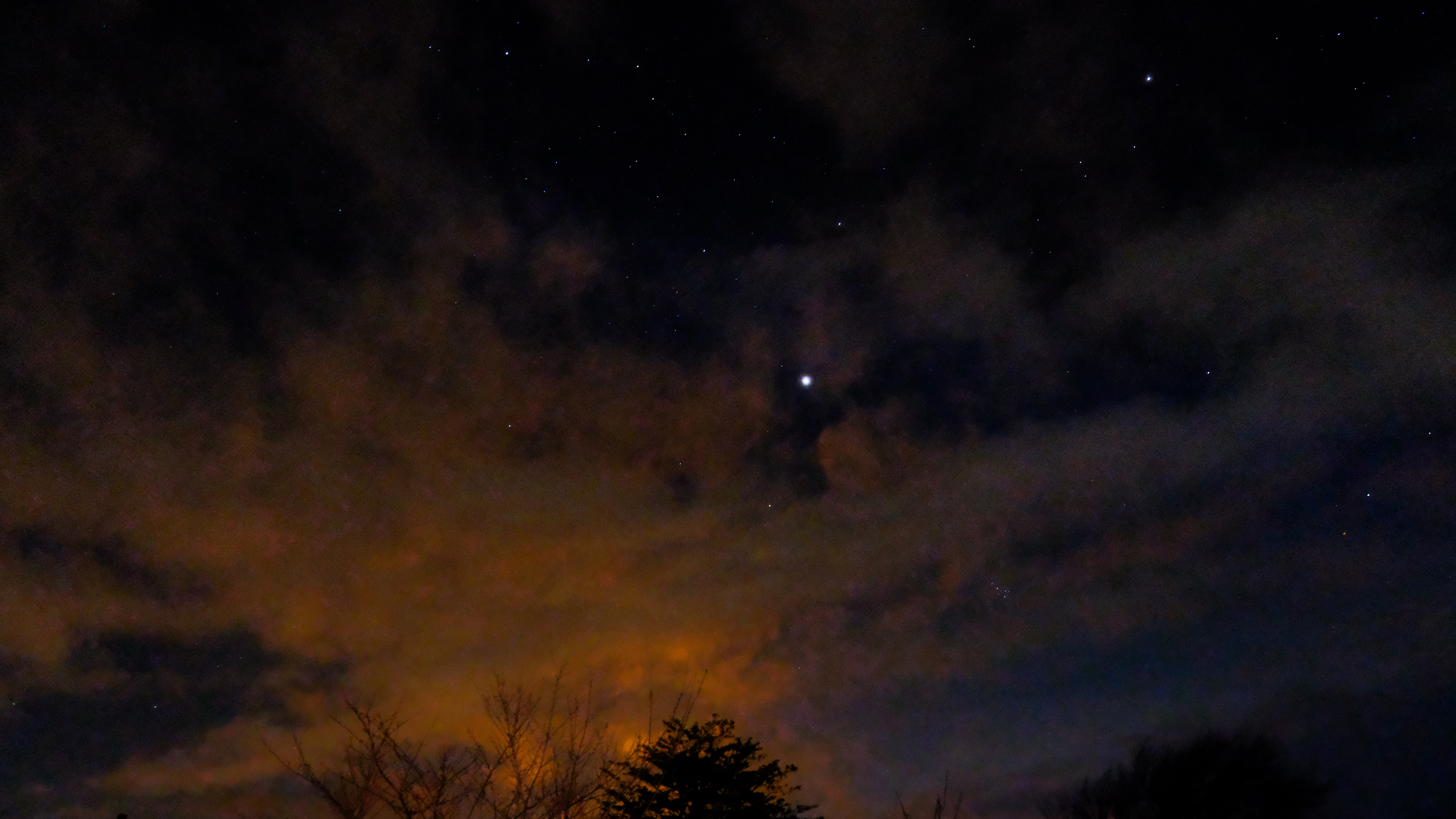 the stars