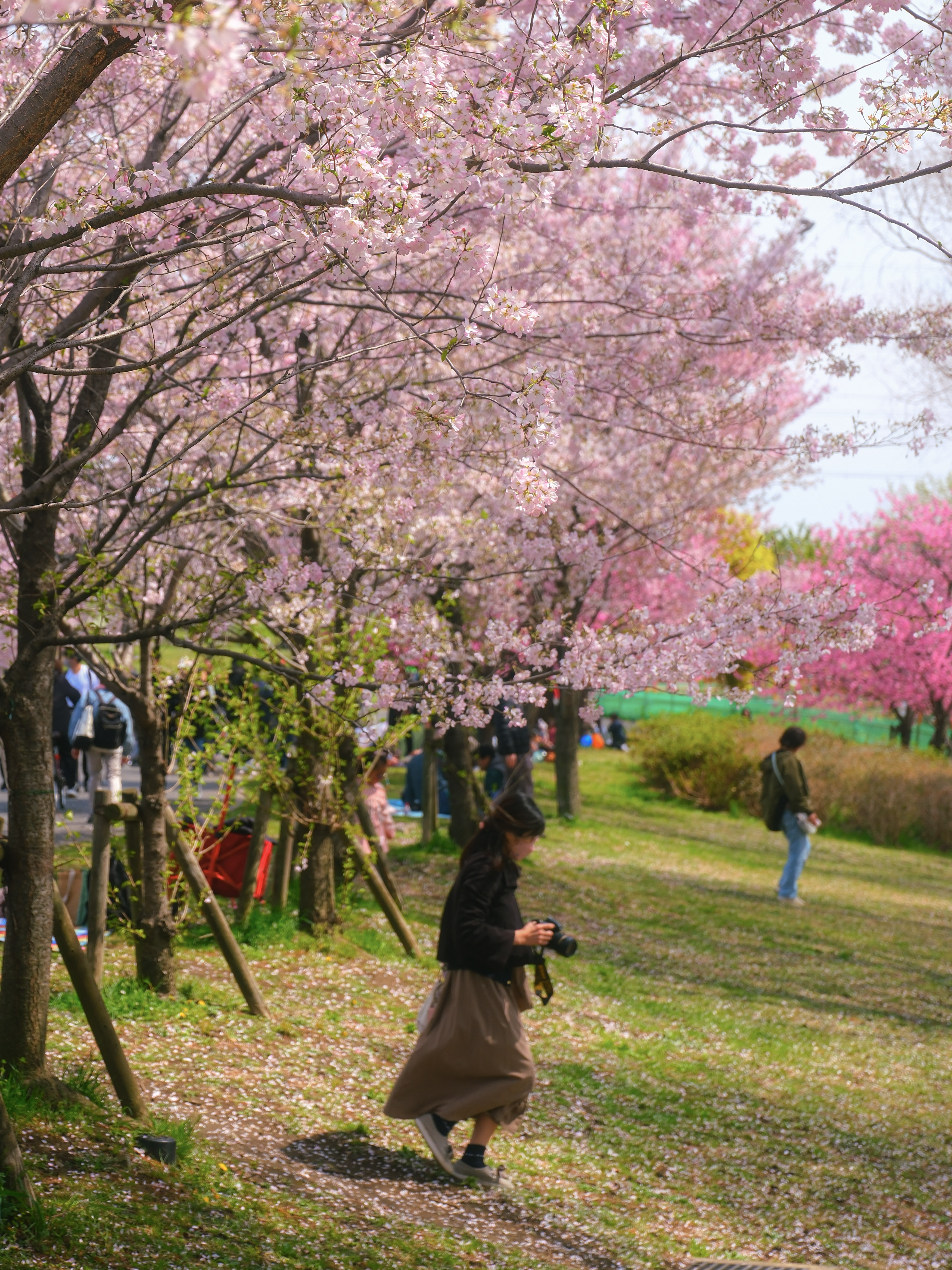 lady moving to take a picture under the trees