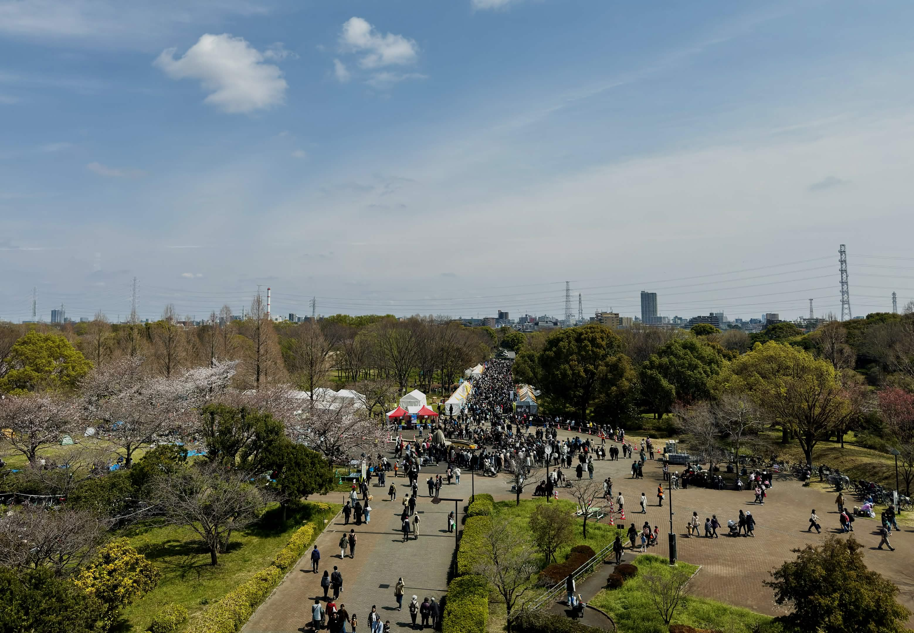 the main festival grounds