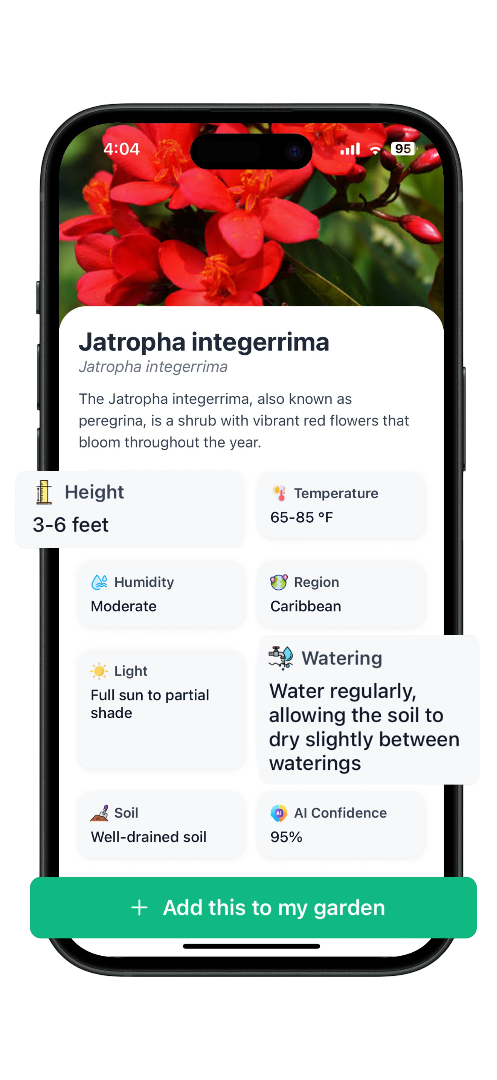 Plant details and care