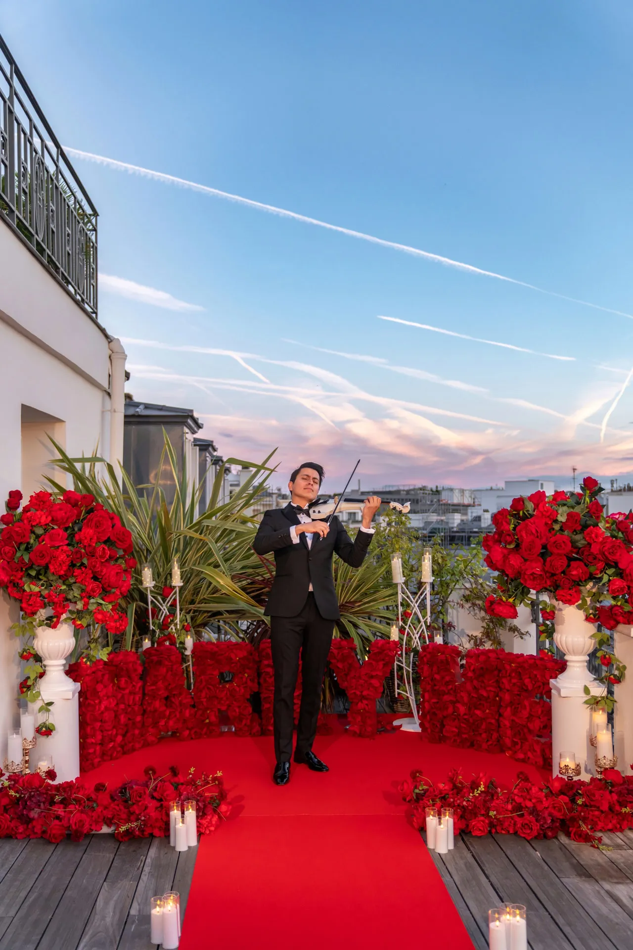 Violinist Paris Proposal