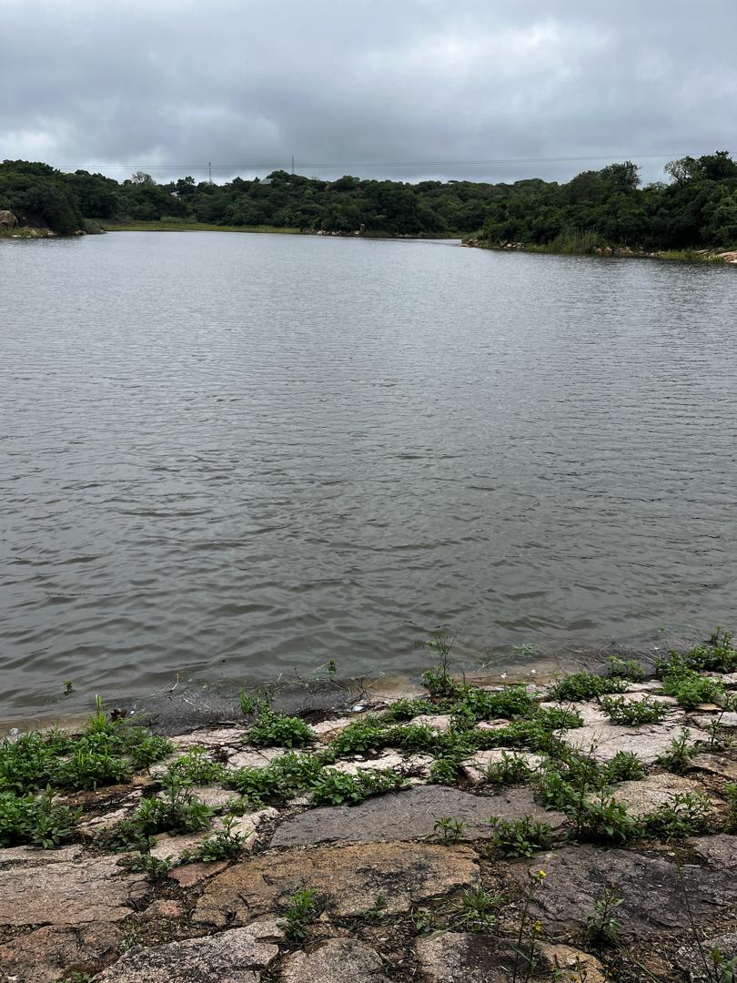 Read more about the article 2. When the Rains Return: Why Hillside Dams Conservancy Comes Alive in February in Bulawayo