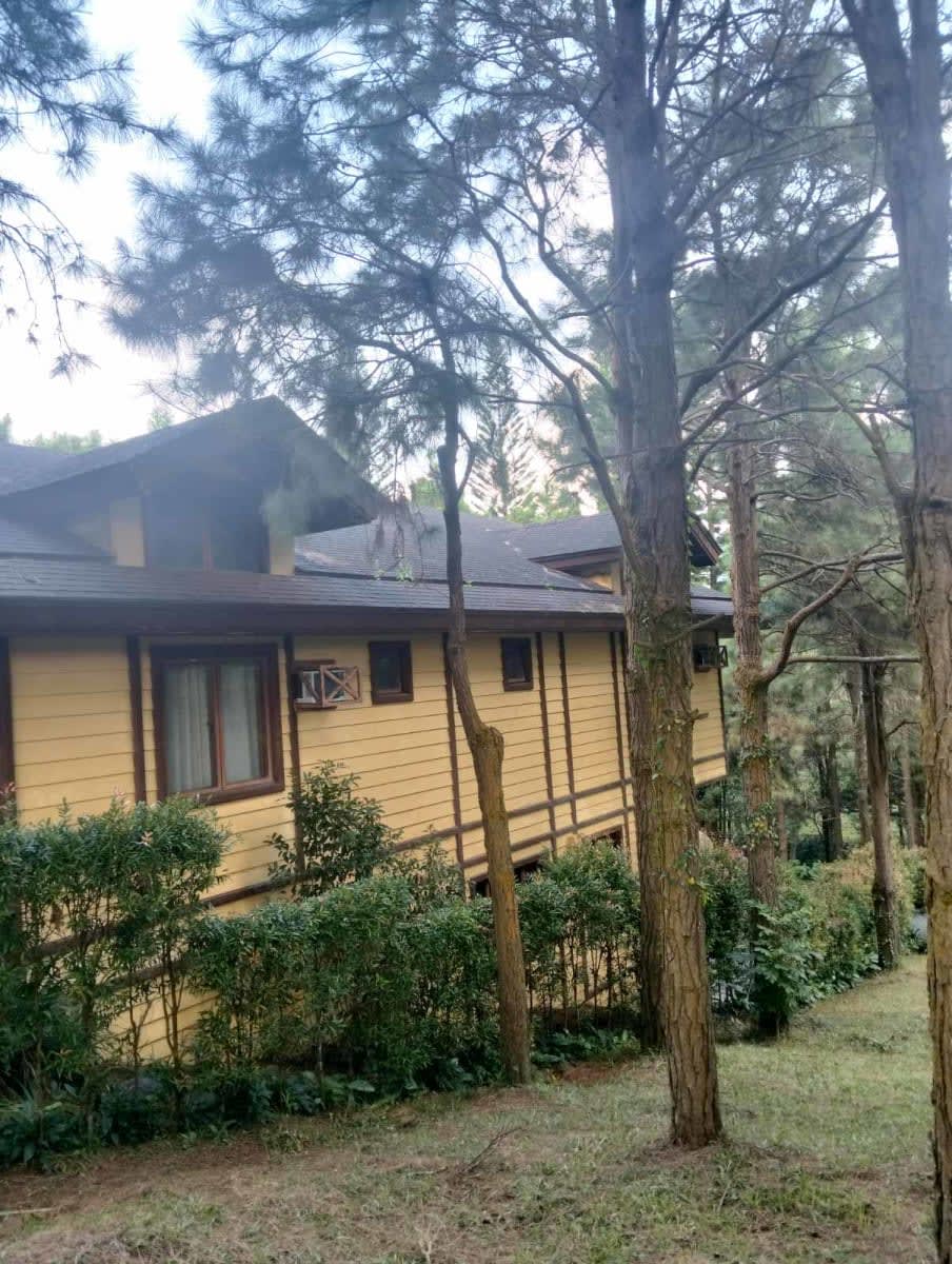 Swiss House in Crosswind