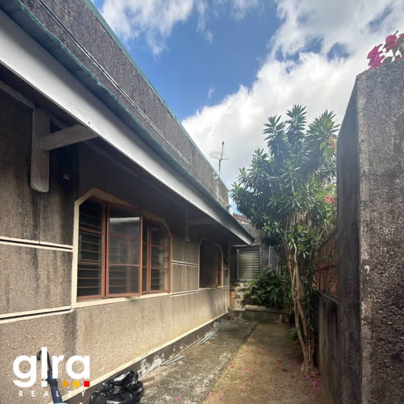 UP DILIMAN AREA (QUEZON CITY)