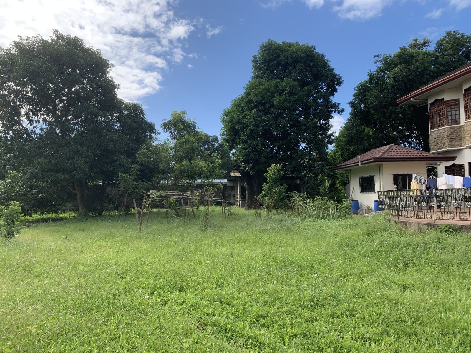 2-storey residential house on a 8,786 sq. meter orchard lot