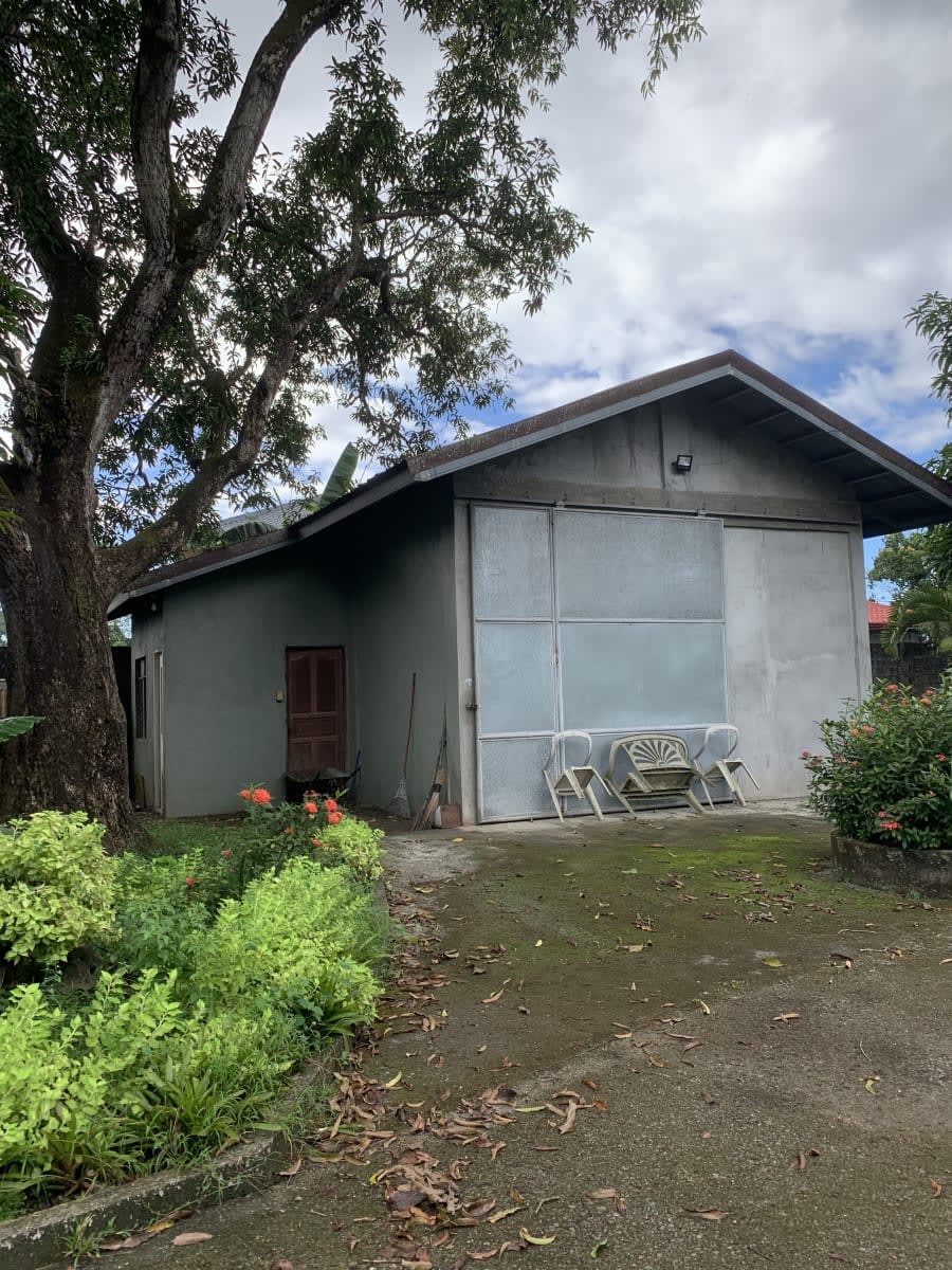 2-storey residential house on a 8,786 sq. meter orchard lot