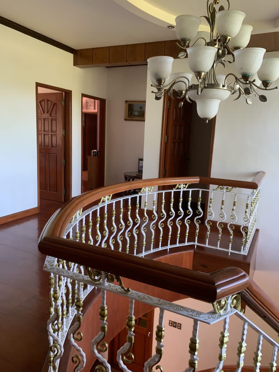2-storey residential house on a 8,786 sq. meter orchard lot