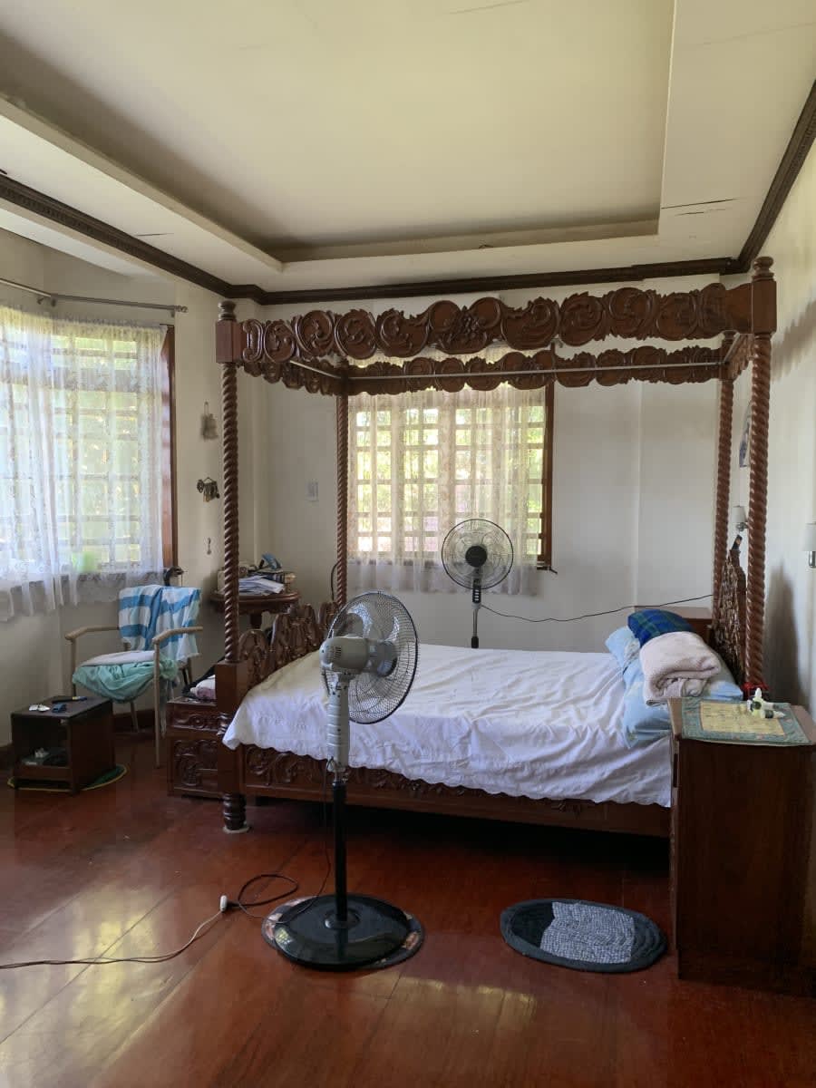 2-storey residential house on a 8,786 sq. meter orchard lot