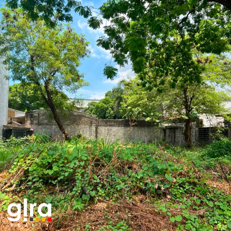 VICTORIA PLACE PASIG RESIDENTIAL LOT