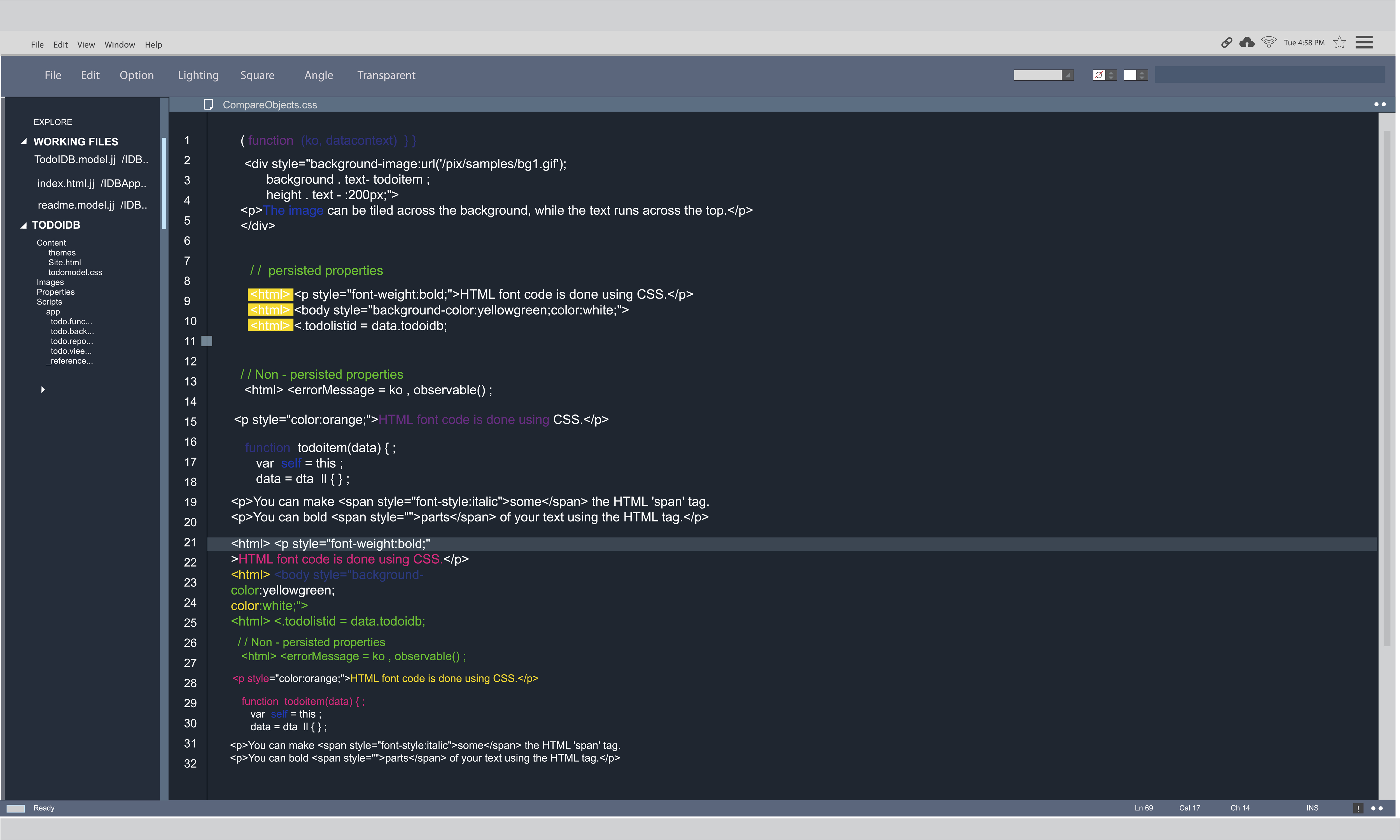 Mini JavaScript Project