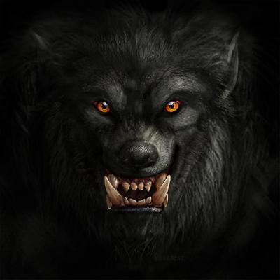 Roar of Wolf