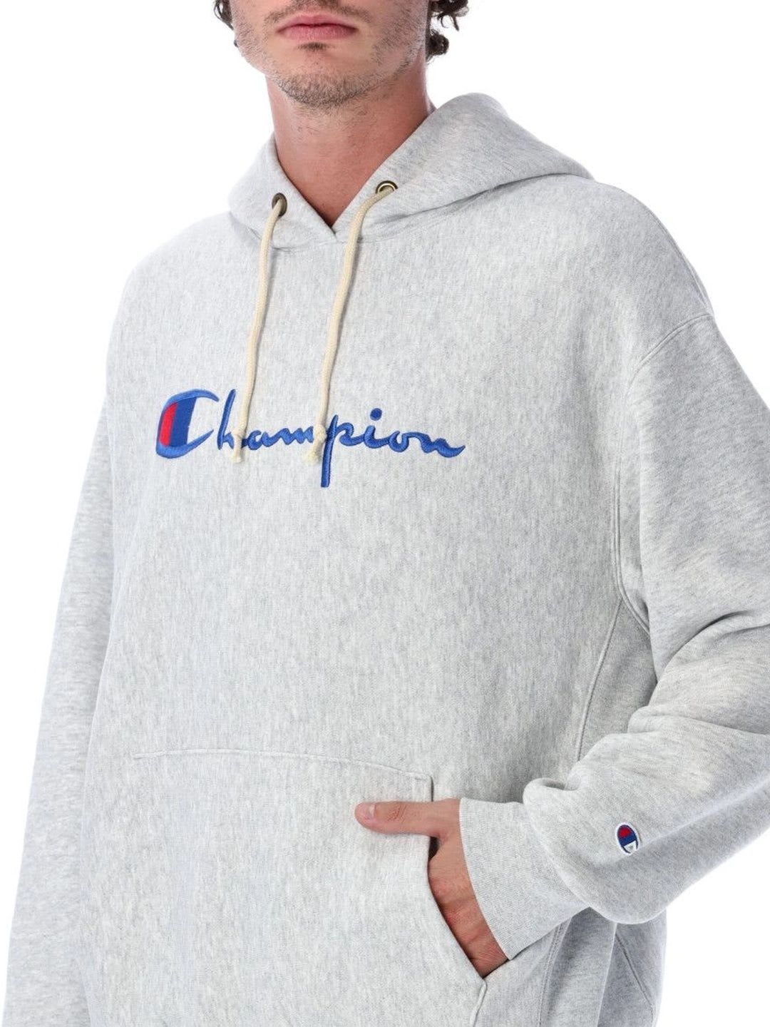 Champion Men Printed Hooded Sweatshirt - back view