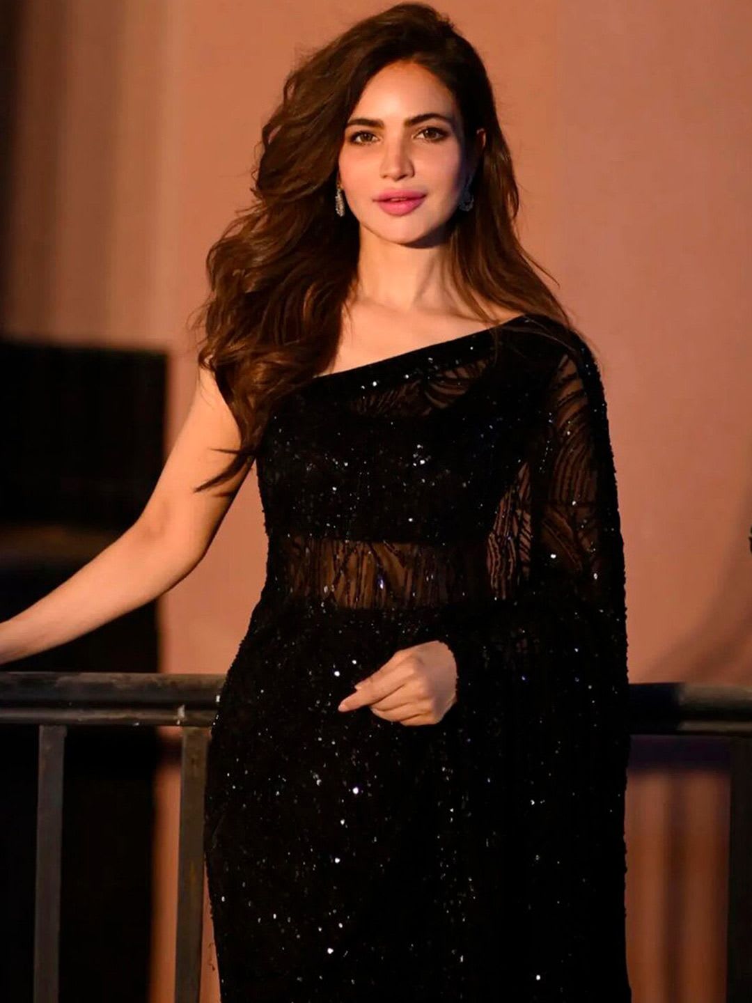 Sangria Black Sequinned Embellished Fusion Saree - back view